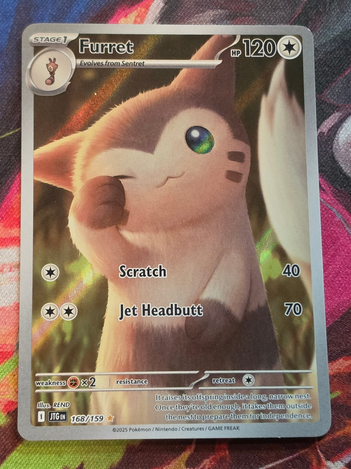 Furret Illustration Rare Journey Together 168/159 NM Pokemon