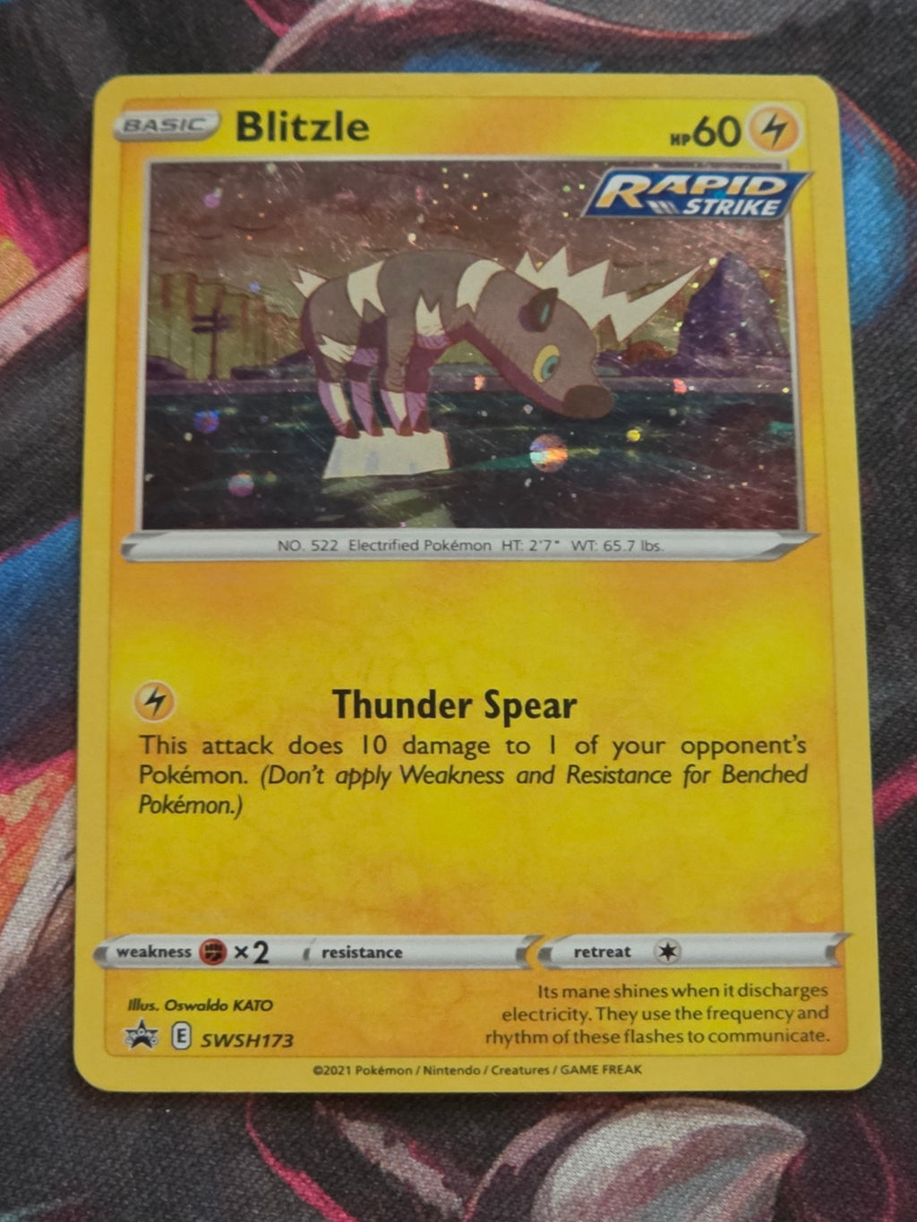 Blitzle - SWSH173 - SWSH: Sword & Shield Promo Cards - Promo - MP Pokemon