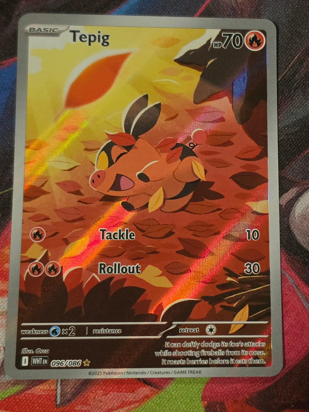 Tepig Illustration Rare White Flare 096/086 NM Pokemon