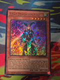 Kiwi Magician Girl Secret Rare The Dark Side of Dimensions Movie Pack: Secret Edition MVP1-ENS16 1st Edition LP Yu-Gi-Oh!