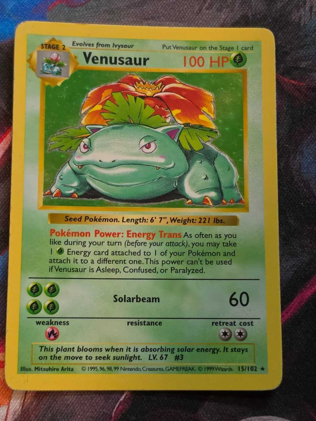 Venusaur Holo Rare Base Set Shadowless 015/102 MP Pokemon