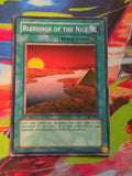 Blessings of the Nile Common Ancient Sanctuary AST-090 LP