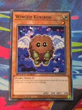 Winged Kuriboh Common Speed Duel GX: Duel Academy Box SGX1-ENA06 1st Edition LP Yu-Gi-Oh!