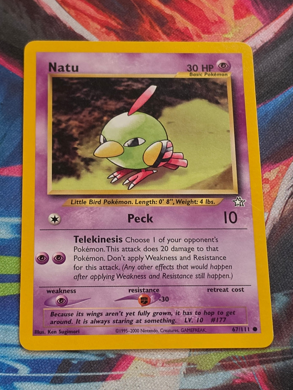 Natu - 067/111 - Neo Genesis - Common - Unlimited - LP+ Pokemon