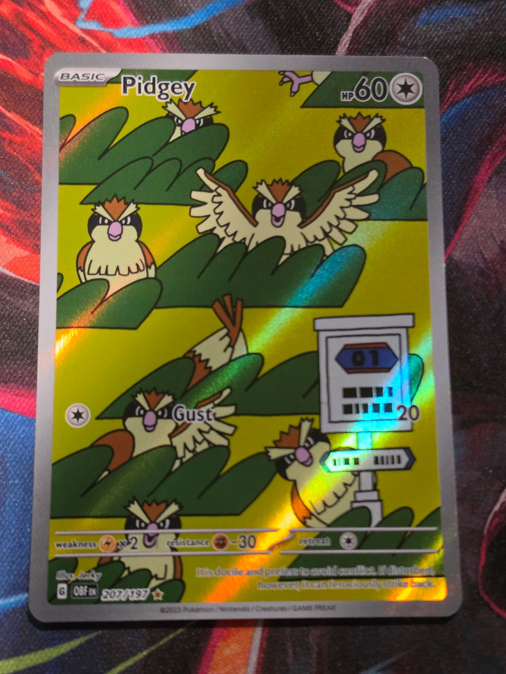 Pidgey Illustration Rare Obsidian Flames 207/197 NM Pokemon