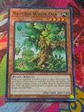 Naturia White Oak Common Hidden Arsenal: Chapter 1 HAC1-EN115 LP