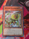 Predaplant Chlamydosundew Common Legendary Duelists: Immortal Destiny LED5-EN051 LP