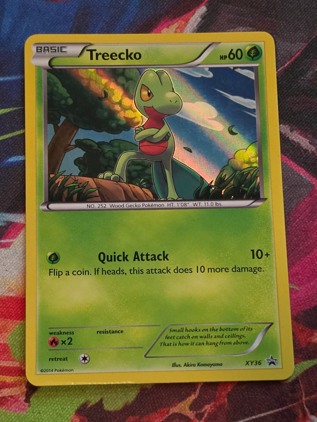 Treecko Promo XY Promos XY36 MP Pokemon
