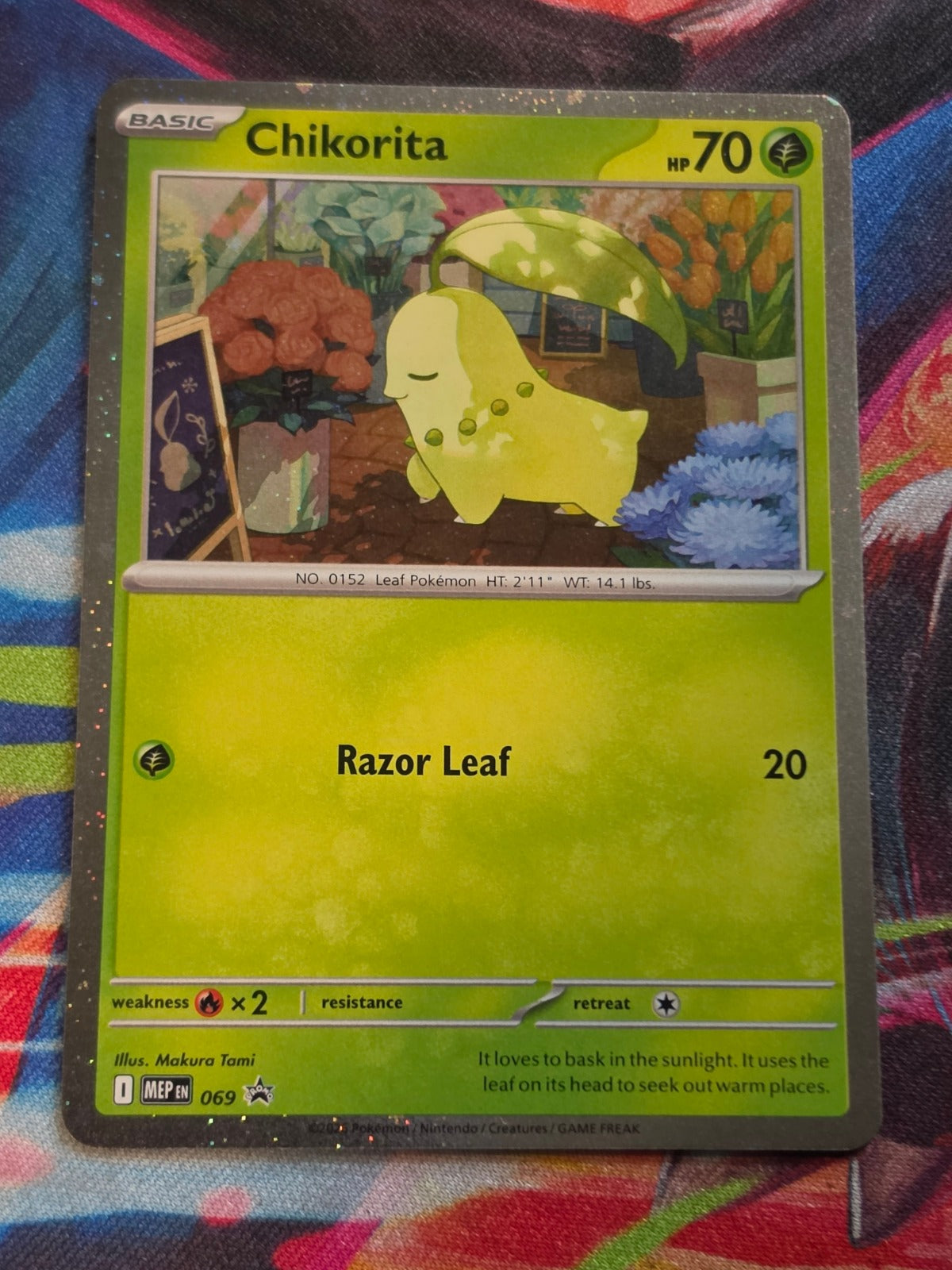 Chikorita (Cosmos Holo) Promo ME: Mega Evolution Promo 069 NM Pokemon