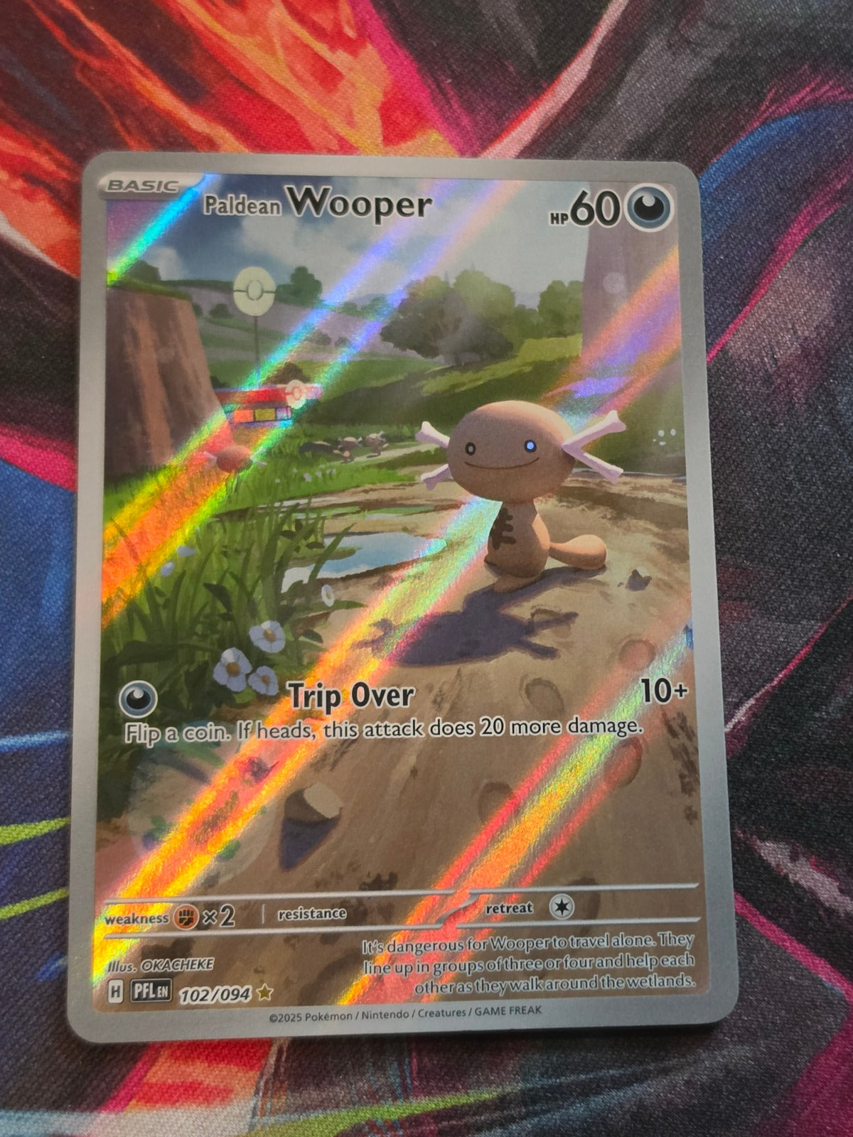 Paldean Wooper Illustration Rare Phantasmal Flames 102/094 NM Pokemon