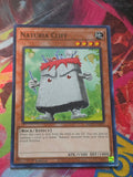 Naturia Cliff Common Hidden Arsenal: Chapter 1 HAC1-EN103 LP