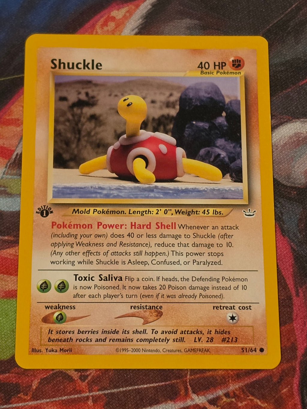 Shuckle - 51/64 - Neo Revelation - Common - 1st Edition - LP Pokemon