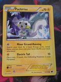 Pachirisu - 37/116 - Plasma Freeze - Common - NM - Pokemon