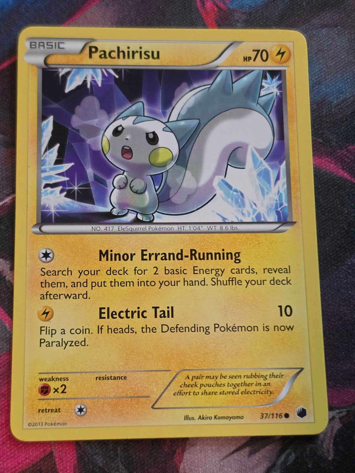 Pachirisu - 37/116 - Plasma Freeze - Common - NM - Pokemon