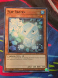 Flip Frozen Common Burst of Destiny BODE-EN092 LP