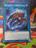Paleozoic Cambroraster Common Lightning Overdrive LIOV-EN047 LP