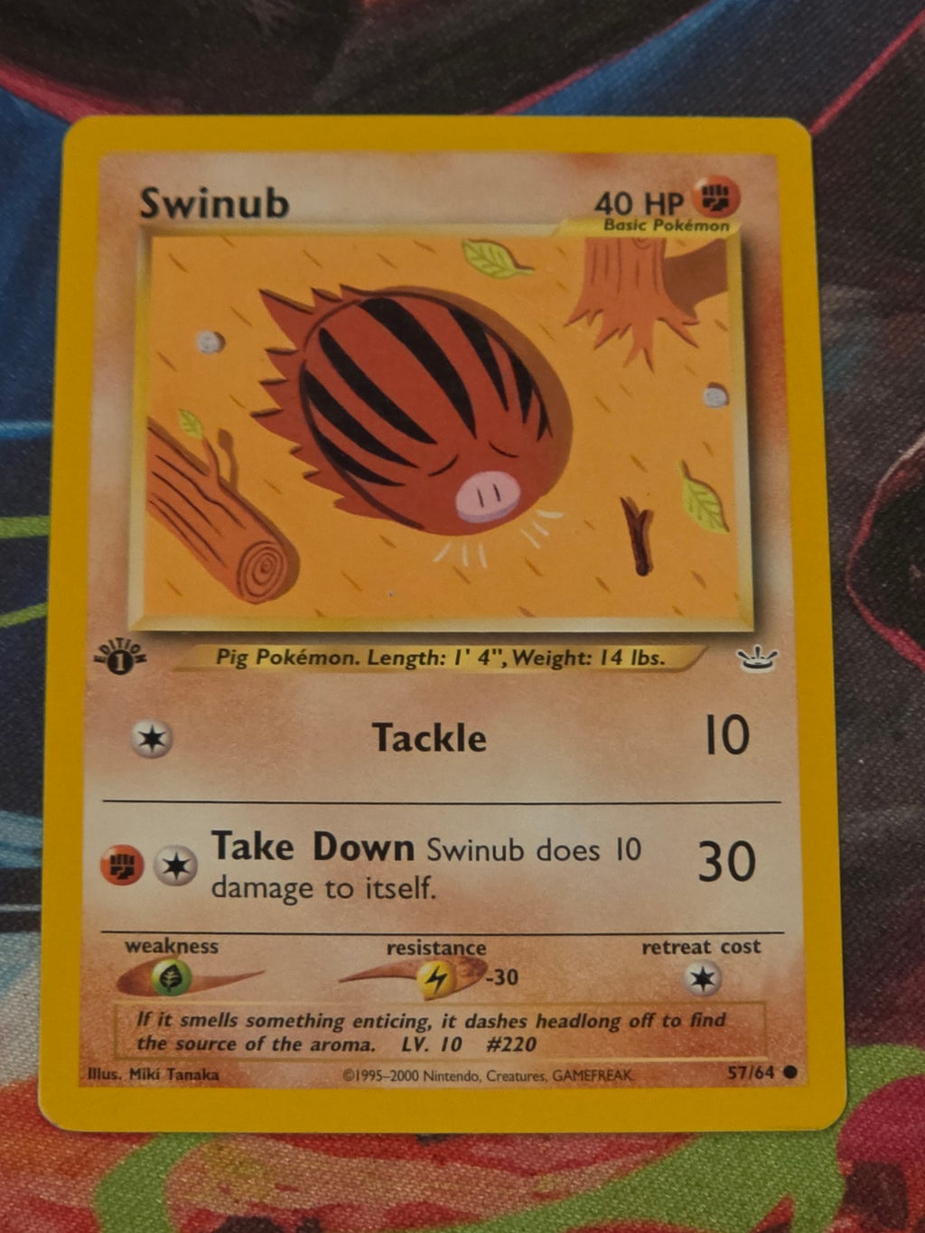 Swinub - 57/64 - Neo Revelation - Common - 1st Edition - LP Pokemon