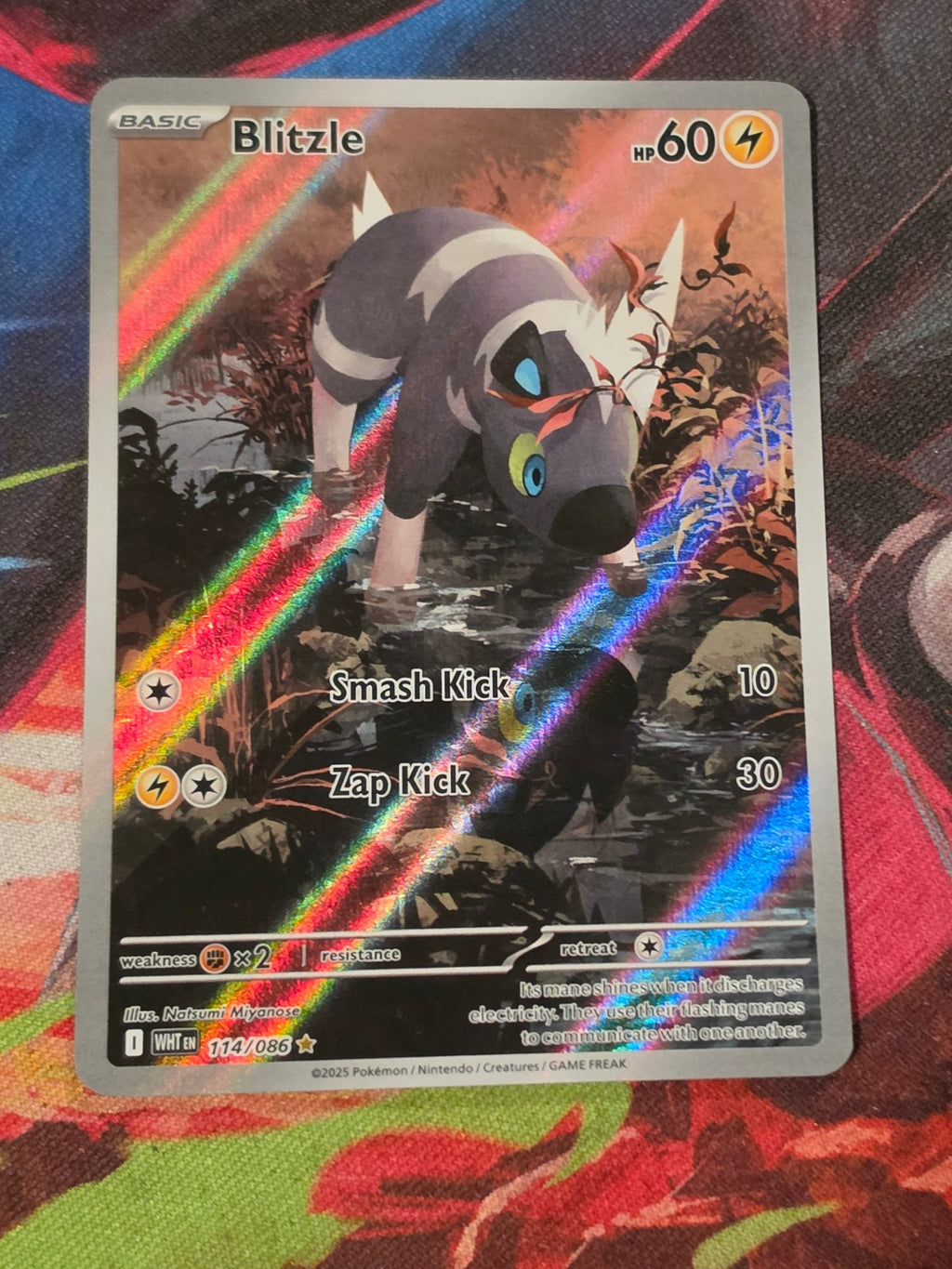 Blitzle Illustration Rare White Flare 114/086 NM Pokemon