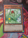 Naturia Rosewhip Common Hidden Arsenal: Chapter 1 HAC1-EN099 LP