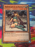 Warrior Lady of the Wasteland Common Speed Duel GX: Duel Academy Box SGX1-ENE05 1st Edition LP Yu-Gi-Oh!