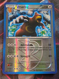 Ursaring (Team Plasma) - 76/101 - Plasma Blast - Uncommon - Reverse Holo - LP - Pokemon