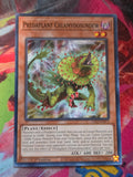 Predaplant Chlamydosundew Common Legendary Duelists: Season 3 LDS3-EN071 LP