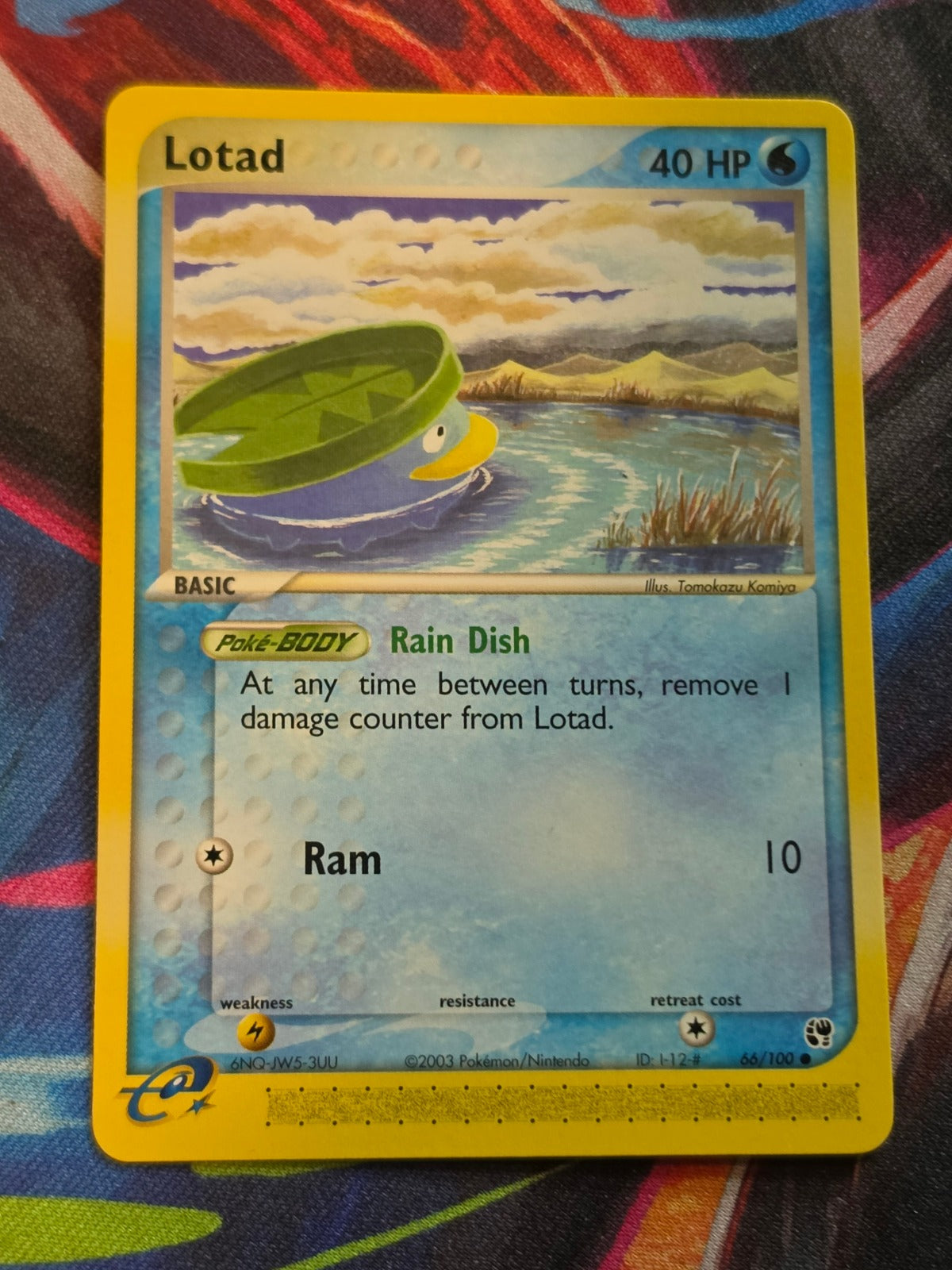 Lotad - 66/100 - EX Sandstorm - Common - NM - Pokemon