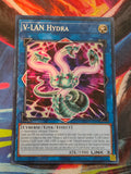 V-LAN Hydra Common Dimension Force DIFO-EN099 LP