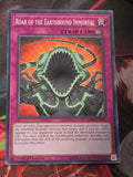 Roar of the Earthbound Immortal Common Legendary Duelists: Immortal Destiny LED5-EN057 LP