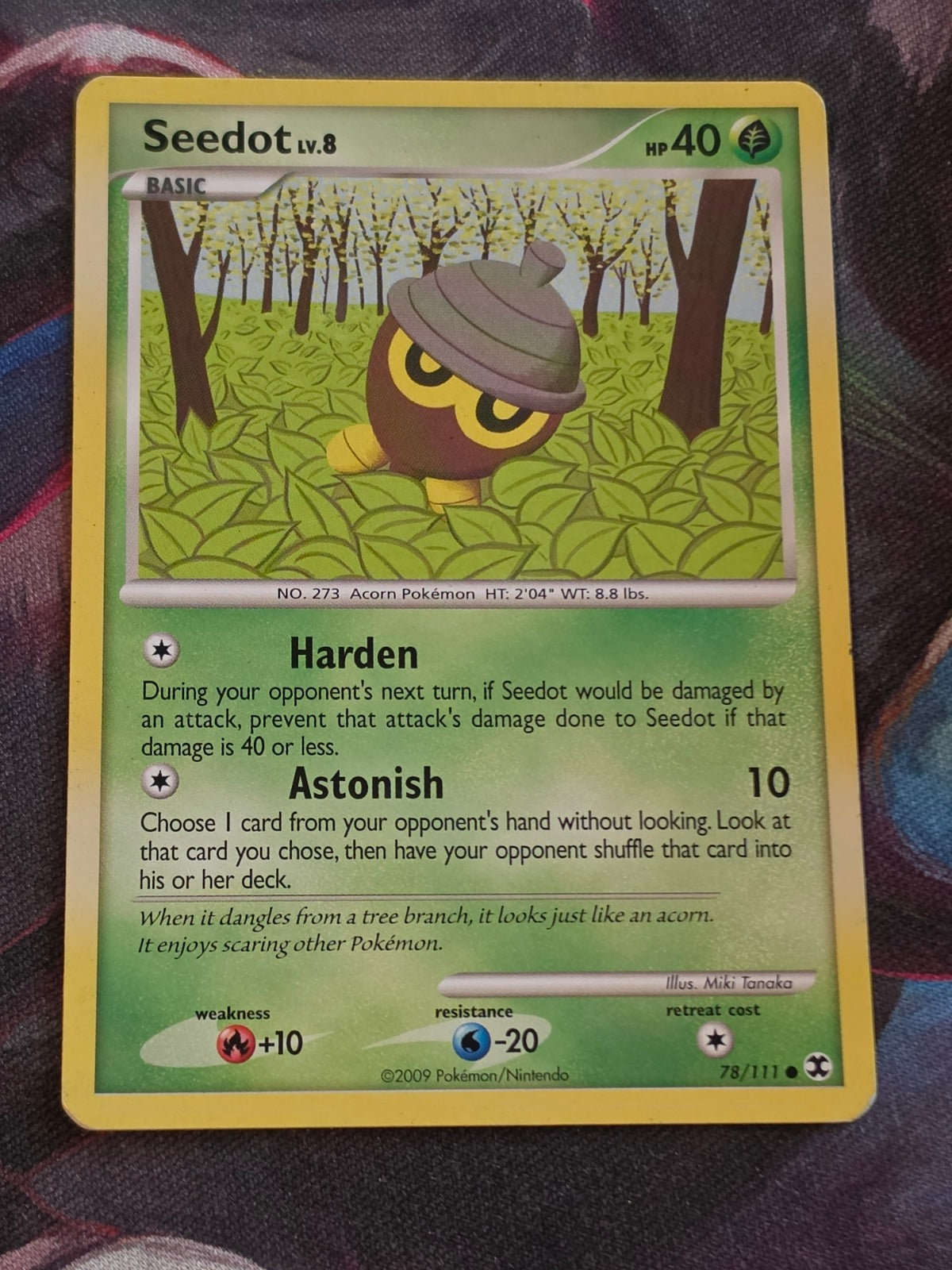 Seedot - 78/111 - Rising Rivals - Common - MP - Pokemon