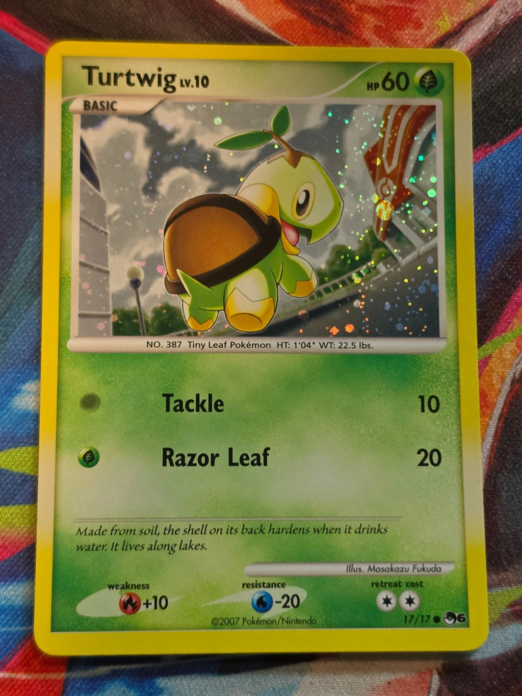 Turtwig Common POP Series 6 017/017 NM-/LP+ Pokemon