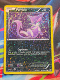 Purrloin Uncommon Legendary Treasures: Radiant Collection RC13/RC25 MP Pokemon