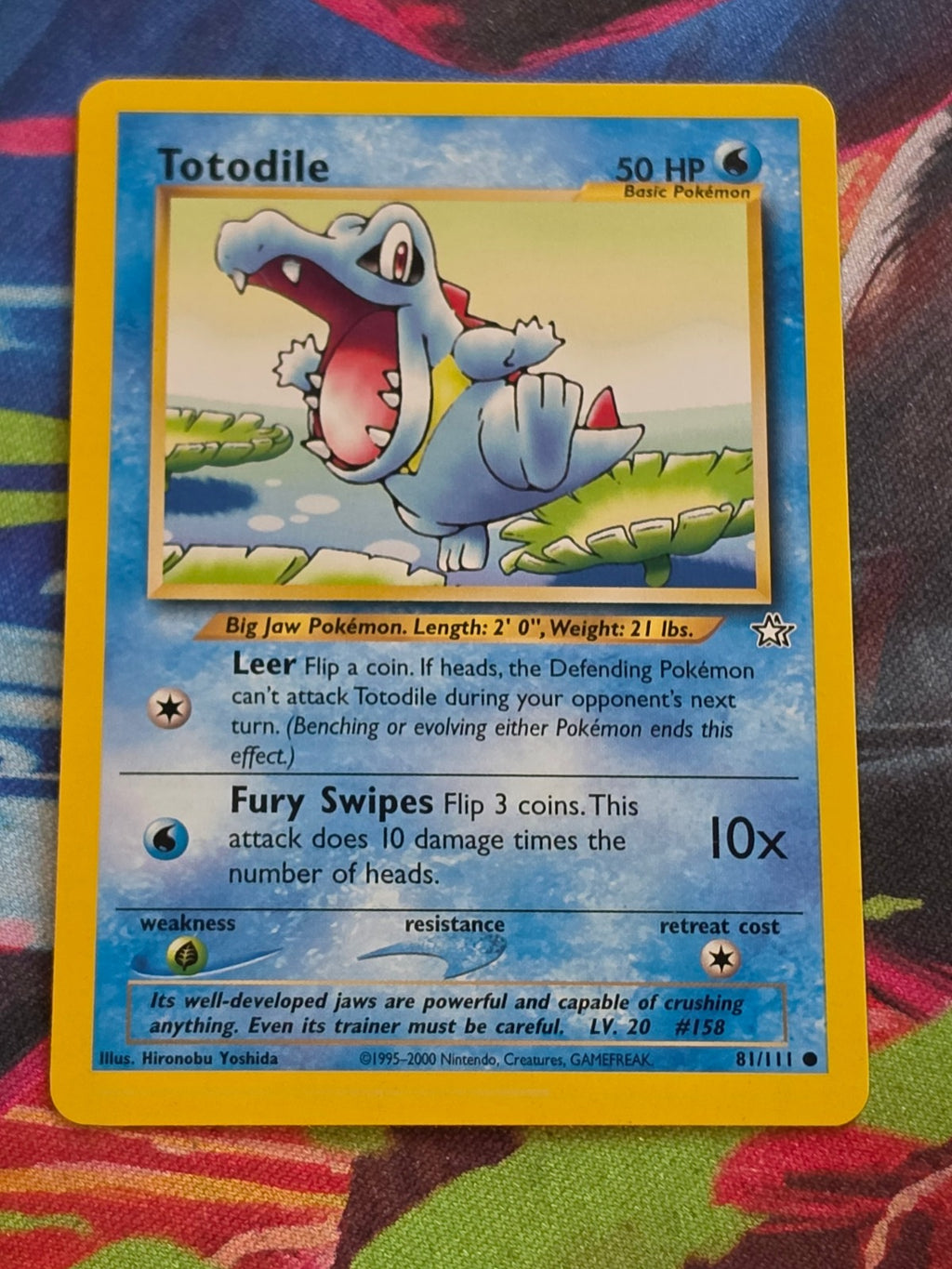 Totodile (81) - 081/111 - Neo Genesis - Common - Unlimited - NM-/LP+ Pokemon