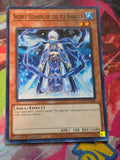 Secret Guards of the Ice Barrier Common Hidden Arsenal: Chapter 1 HAC1-EN048 LP