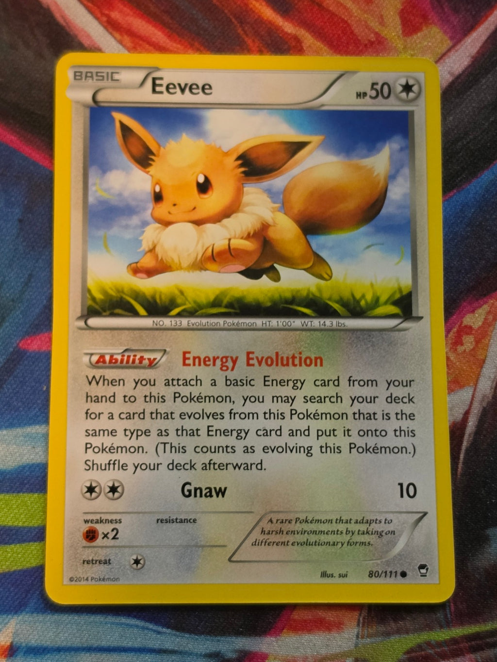Eevee - 80/111 - XY - Furious Fists - Common - NM Pokemon