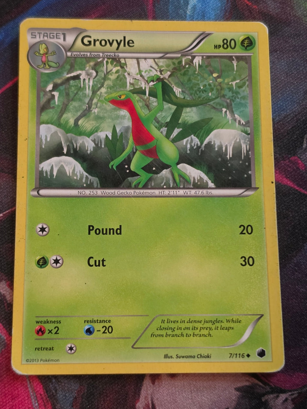 Grovyle - 7/116 - Plasma Freeze - Uncommon - MP - Pokemon