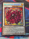 Black Rose Dragon Secret Rare Legendary 5D's Decks L5DD-ENS02 LP