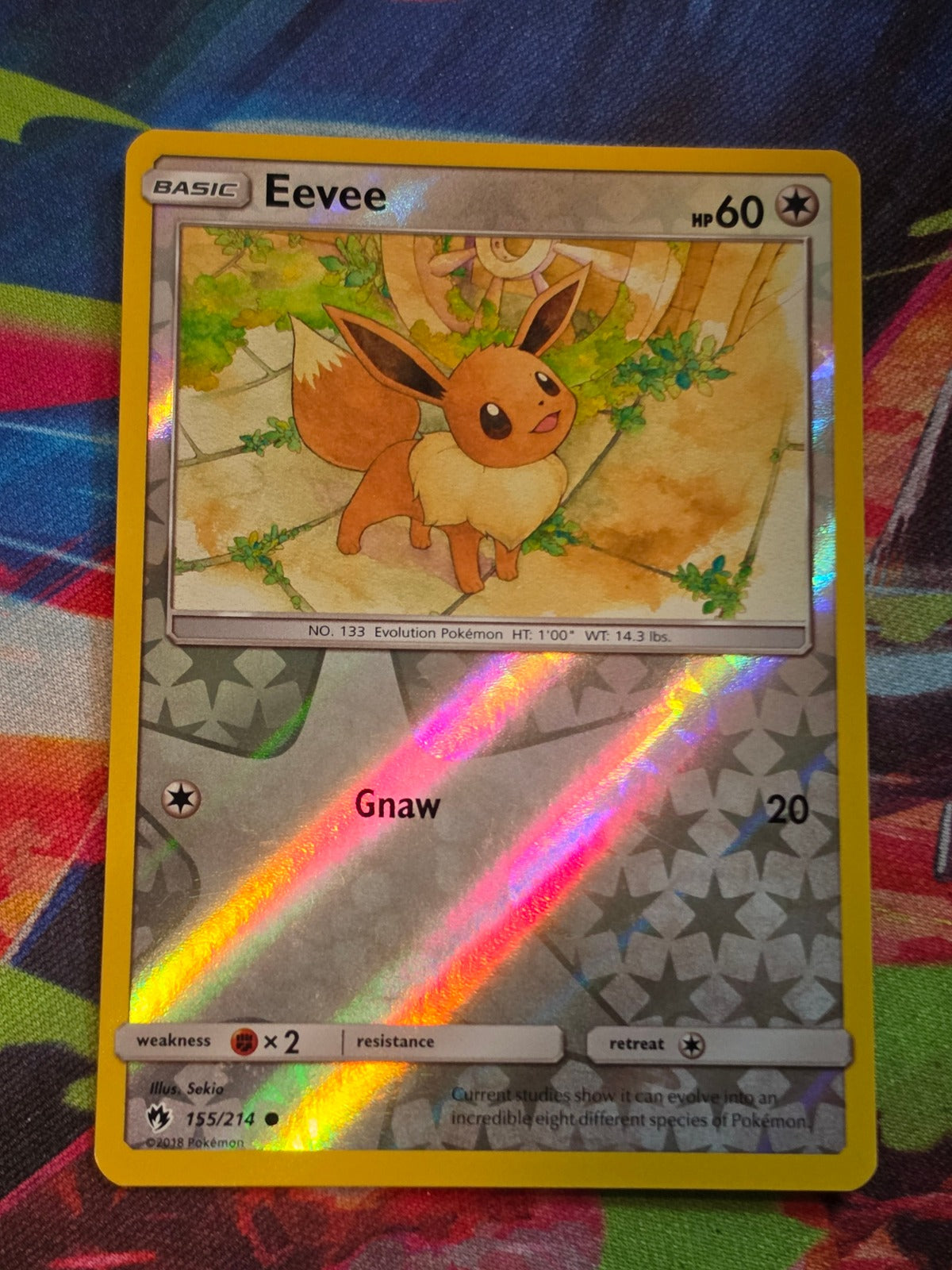 Eevee Common Reverse Holo SM - Lost Thunder 155/214 LP+ Pokemon