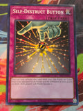 Self-Destruct Button Common Invasion of Chaos (25th Anniversary Edition) IOC-EN105 LP
