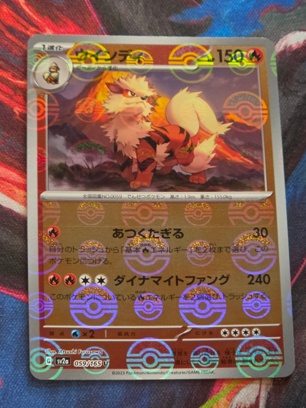 Arcanine (Poke Ball Pattern) - 059/165 - SV2a: Pokemon Card 151 - Uncommon - Reverse Holo - LP Japanese Pokemon