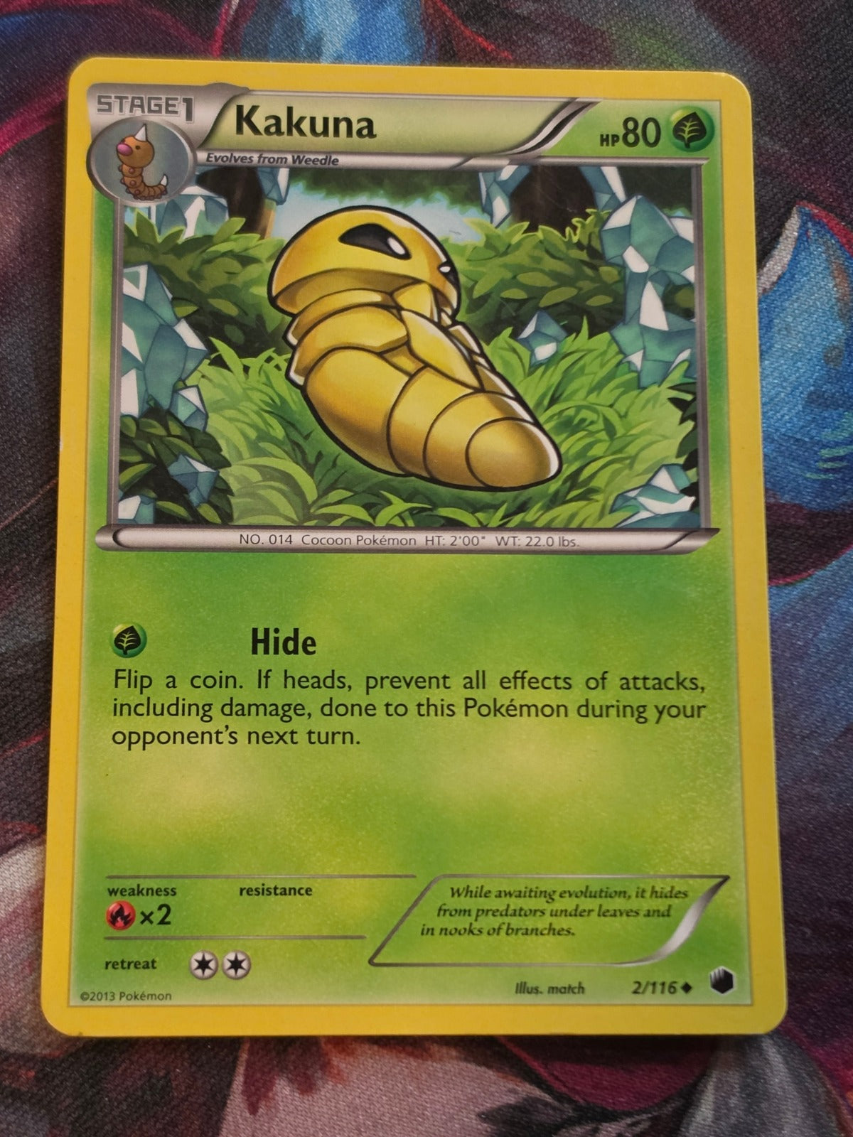 Kakuna - 2/116 - Plasma Freeze - Uncommon - MP - Pokemon