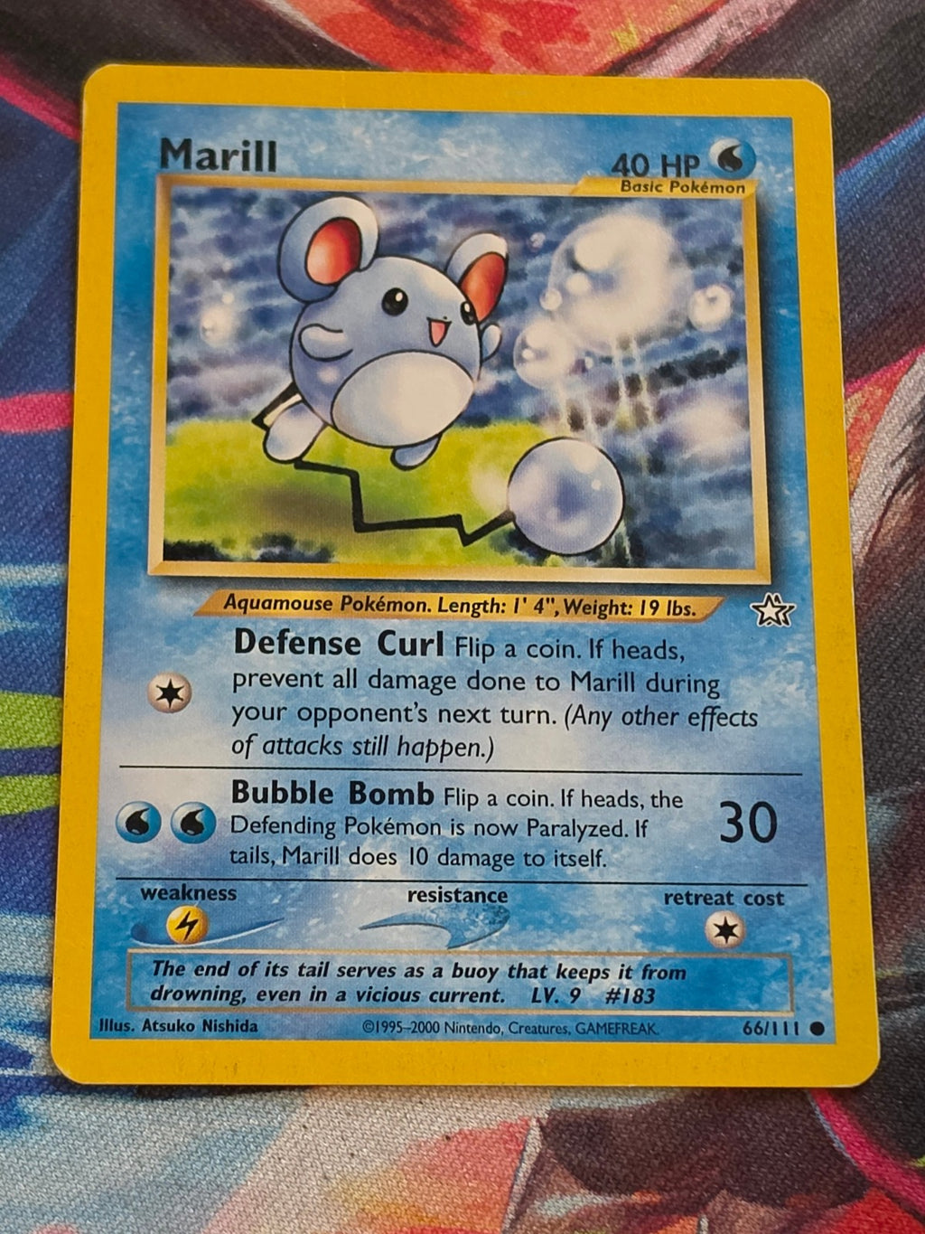 Marill - 066/111 - Neo Genesis - Common - Unlimited - MP Pokemon