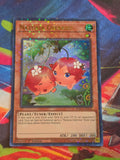 Naturia Cherries (Duel Terminal) Duel Terminal Technology Ultra Rare Hidden Arsenal: Chapter 1 HAC1-EN116 LP