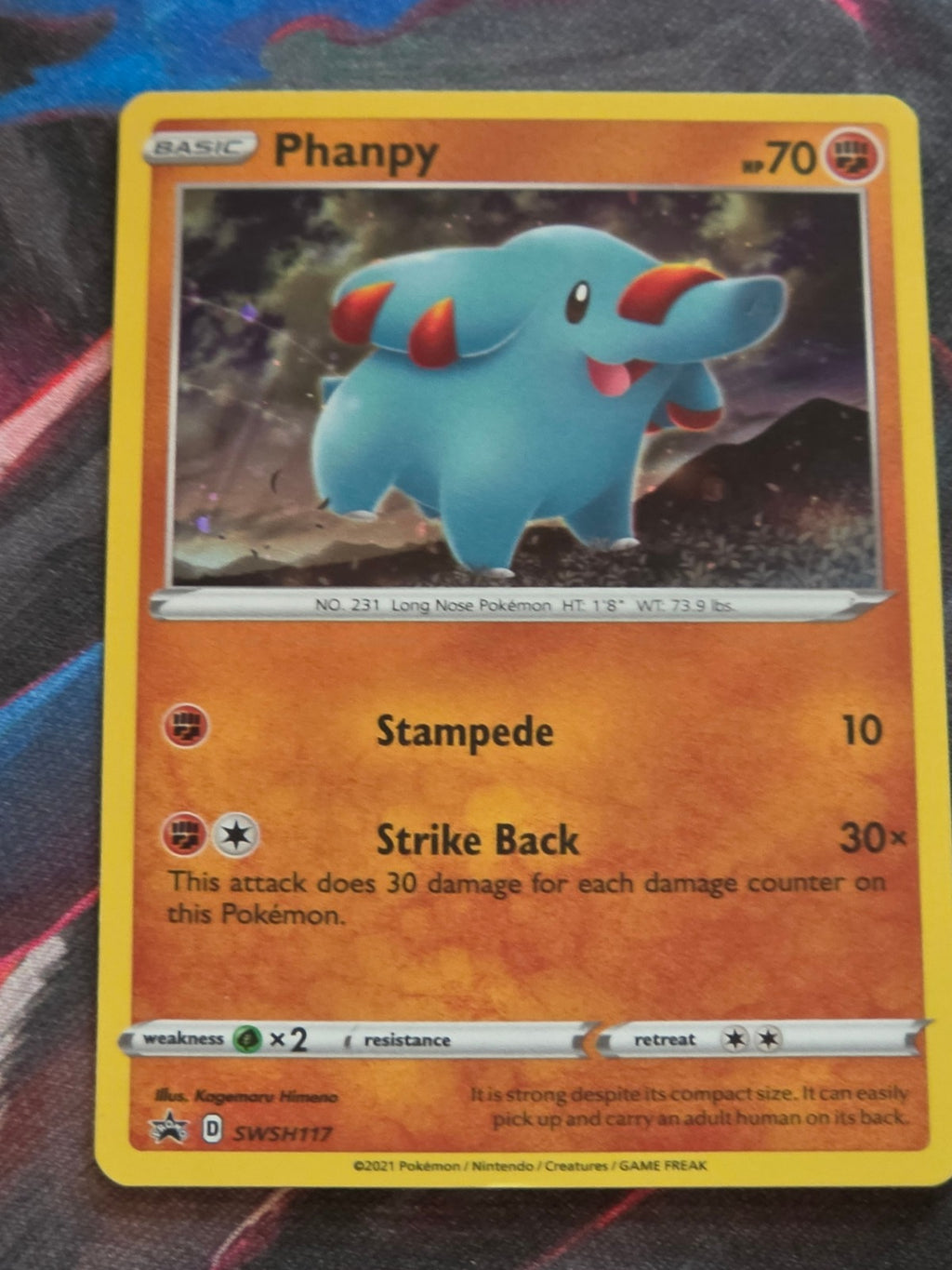 Phanpy - SWSH117 - SWSH: Sword & Shield Promo Cards - Promo - NM Pokemon