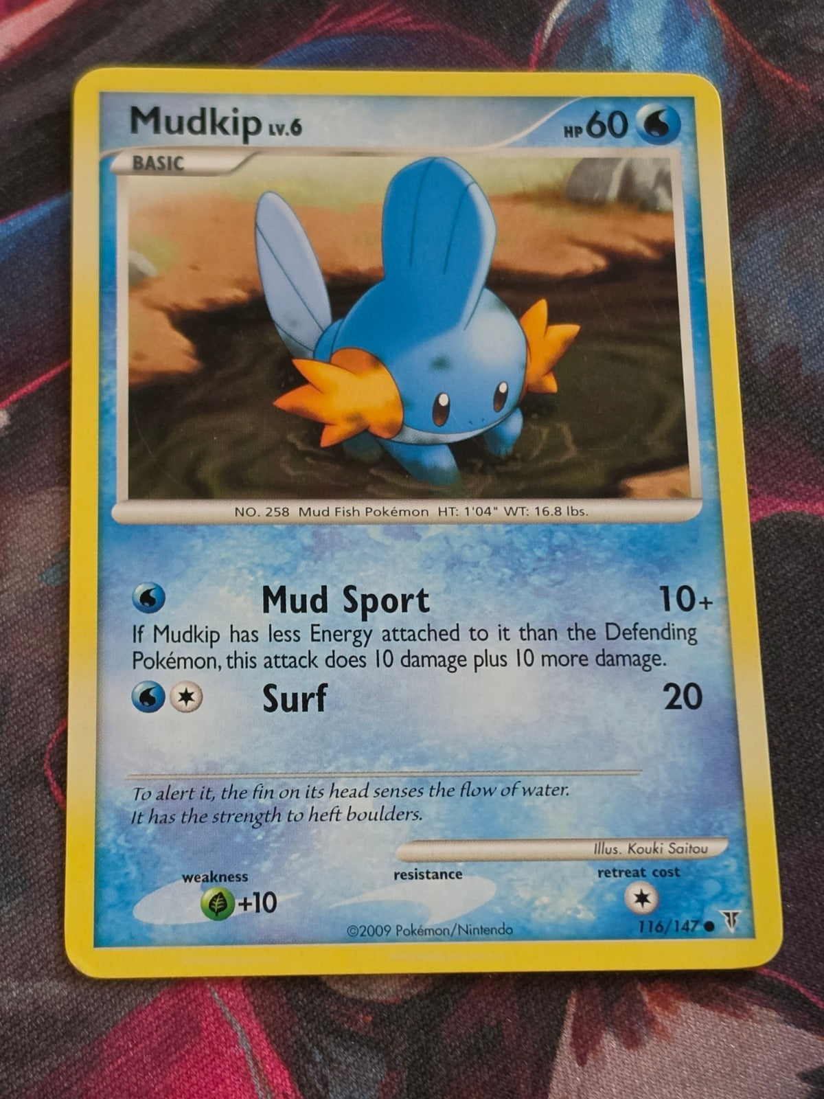 Mudkip - 116/147 - Supreme Victors - Common - LP - Pokemon