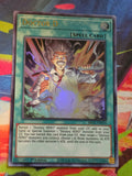 Doctor D Ultra Rare Brothers of Legend BROL-EN010 LP