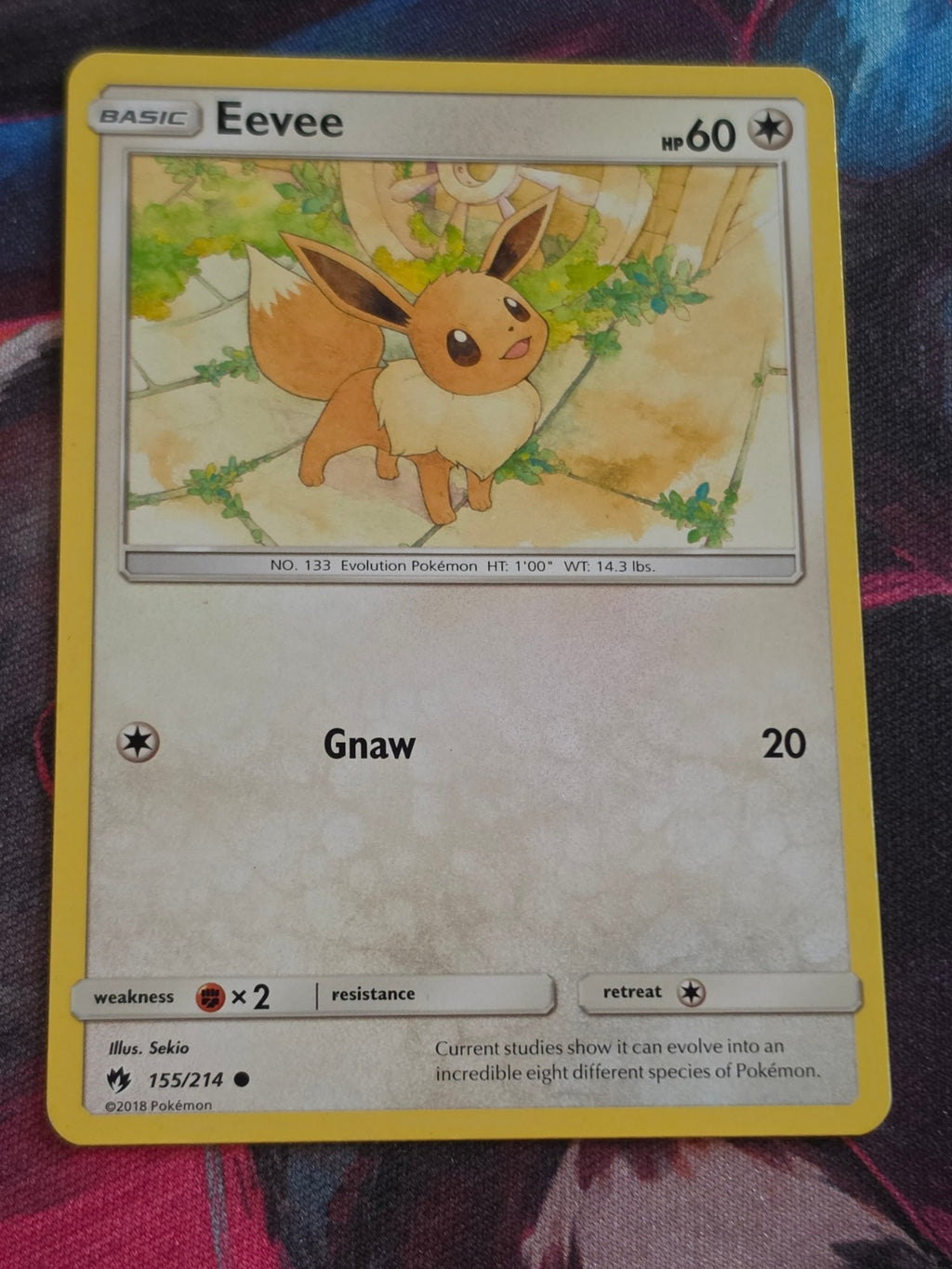 Eevee - 155/214 - SM - Lost Thunder - Common - MP - Pokemon