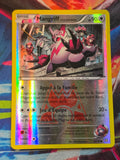 Team Magma's Zangoose - 22/34 - Double Crisis - Common - Reverse Holo - LP-/MP+ French Pokemon