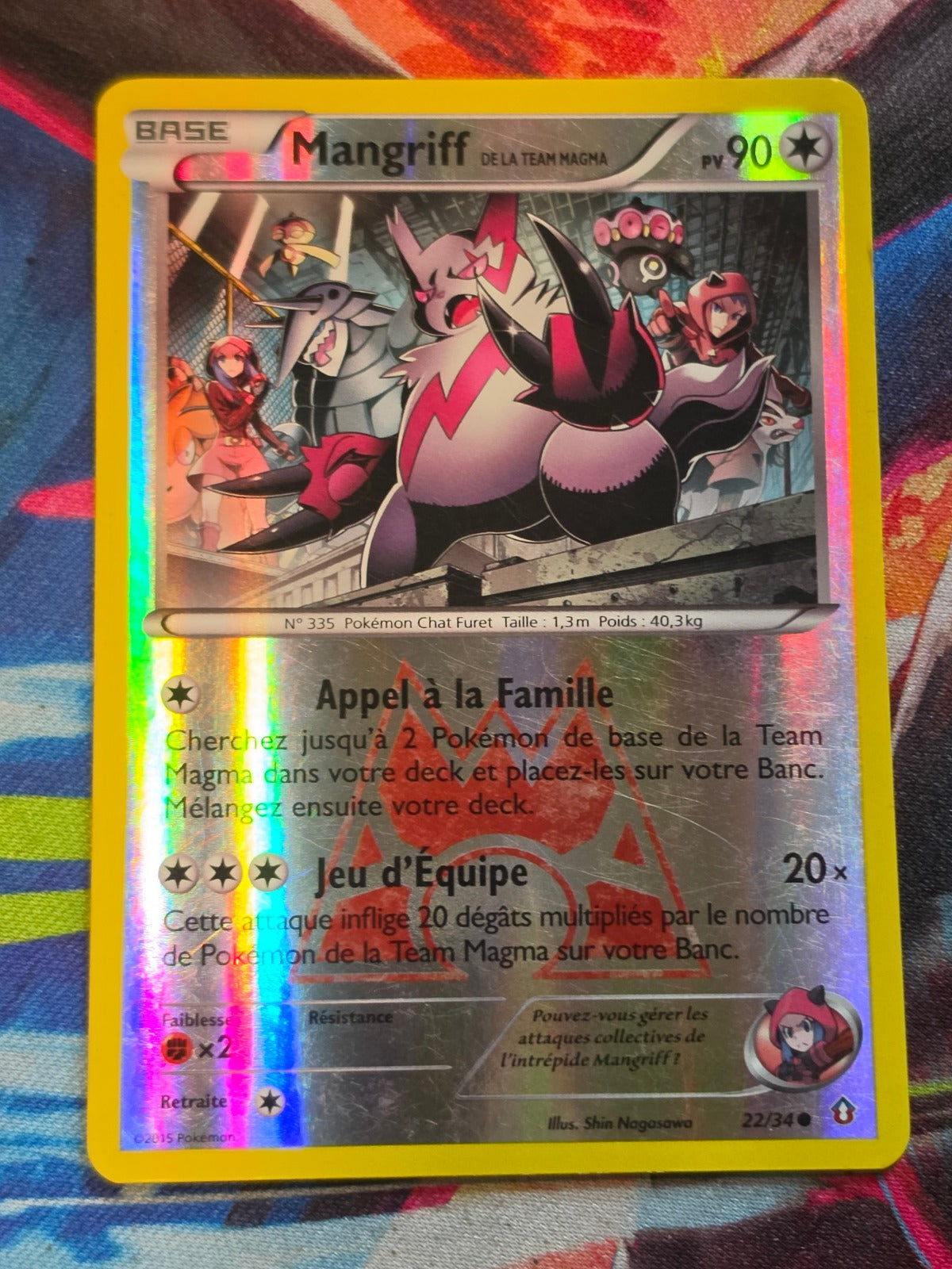 Team Magma's Zangoose - 22/34 - Double Crisis - Common - Reverse Holo - LP-/MP+ French Pokemon