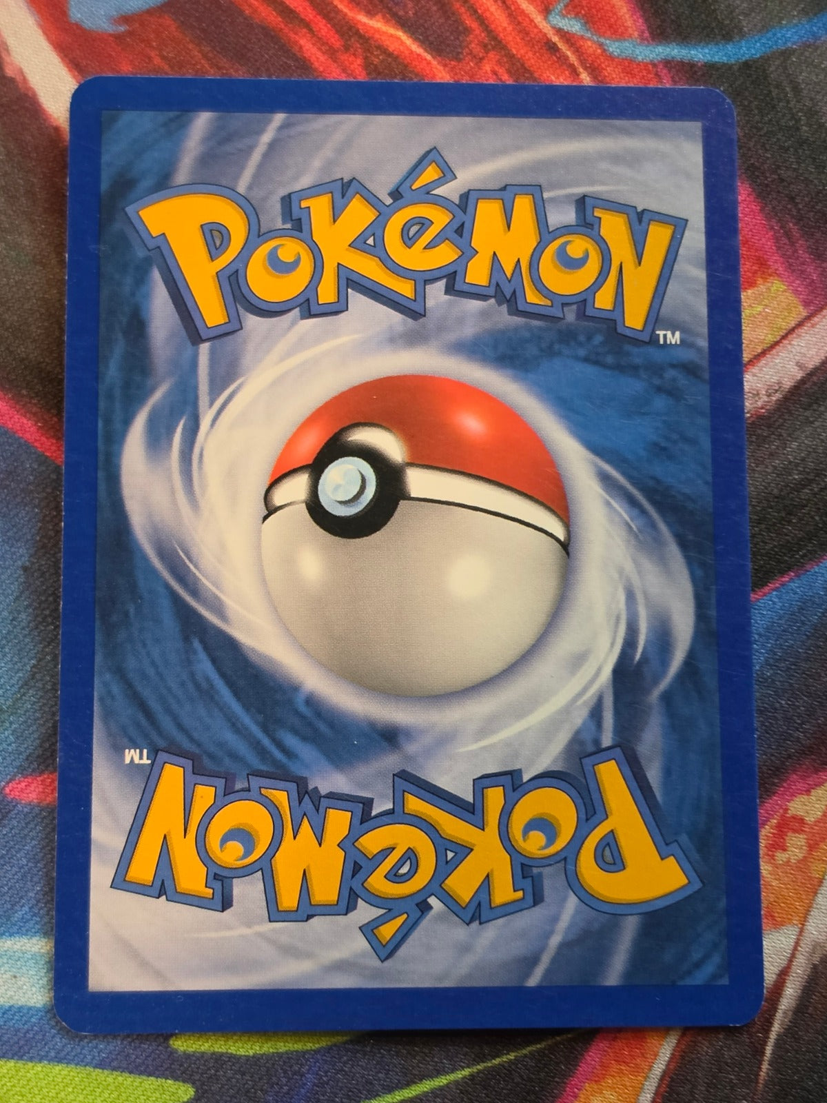 Lotad - 66/100 - EX Sandstorm - Common - NM - Pokemon (Back)